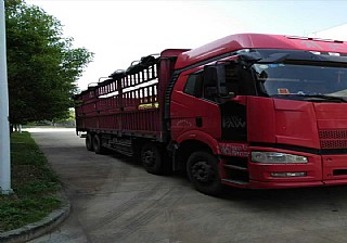 车型7